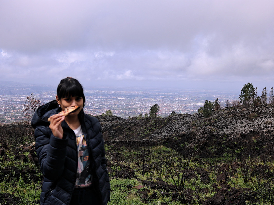 day trip to mount Vesuvius 