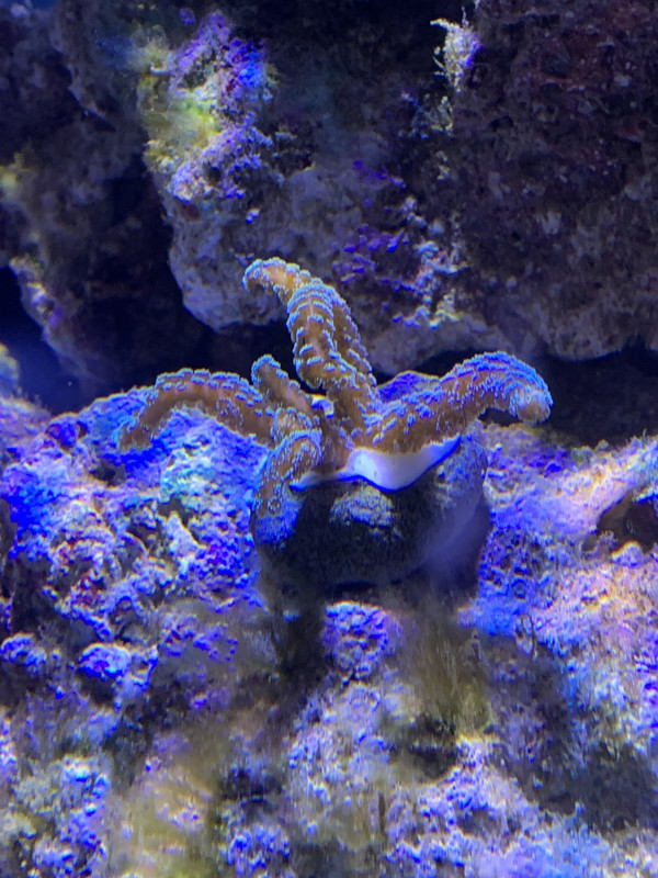 8D894AC6-AAAC-4692-A973-7DF28ED5870B