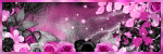 MBM-Member1-vi