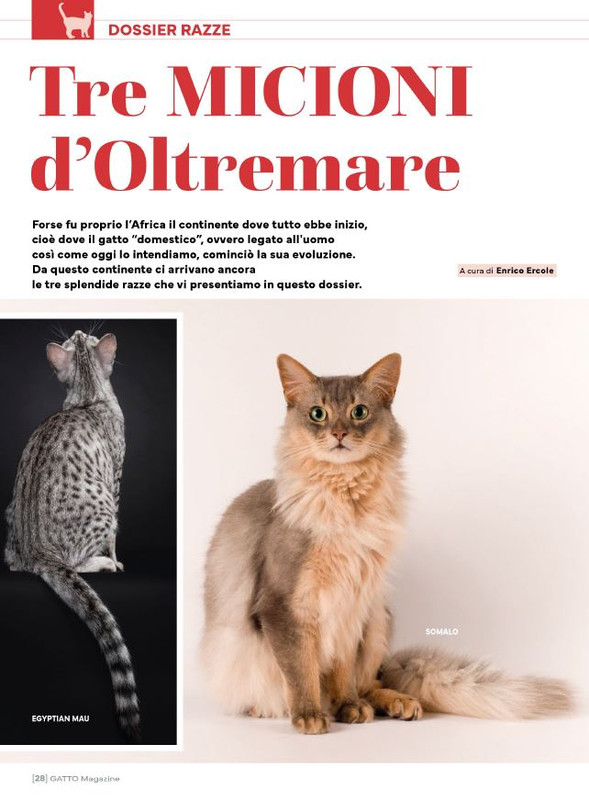 Ga Ma Ott-Nov 2024 (1)