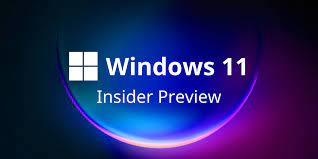 Windows 11 22H2 Insider Preview Build 22533.1001 x64 January 12, 2022