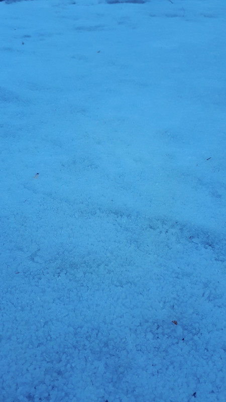 20190225_155359