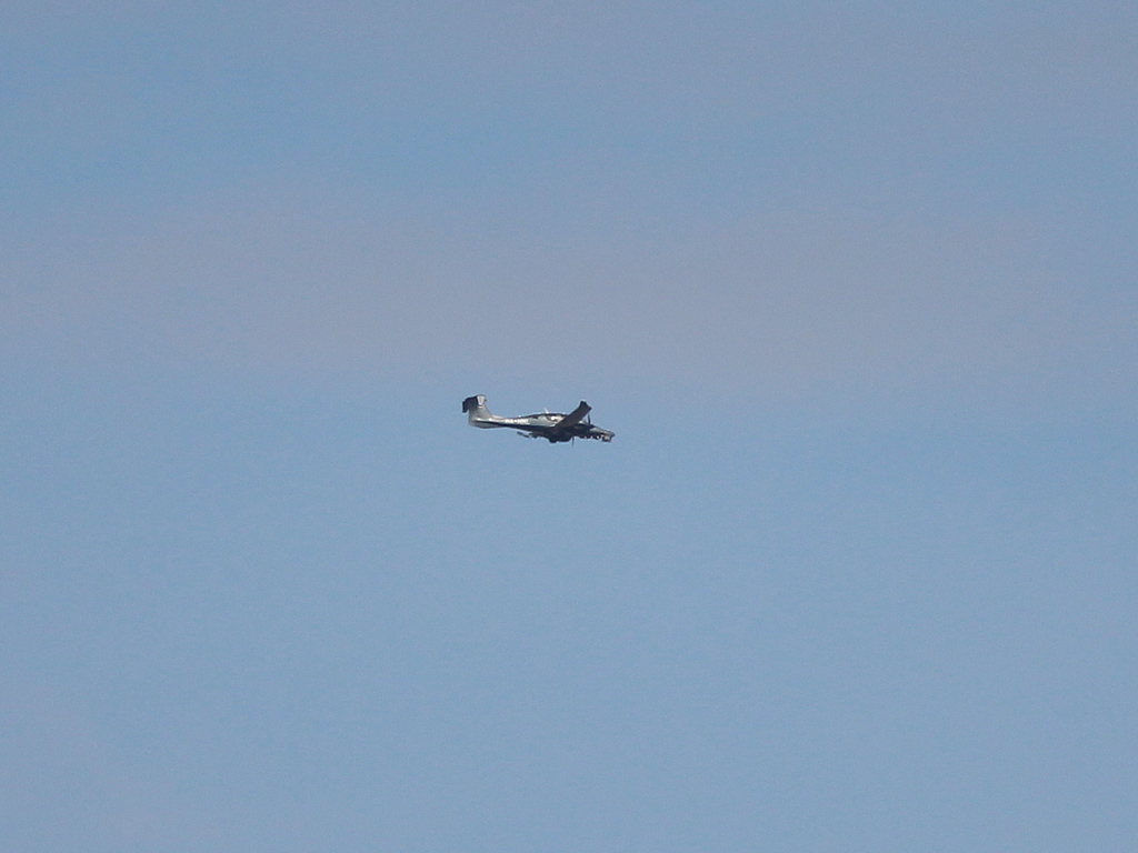 IMG-6920-copy.jpg