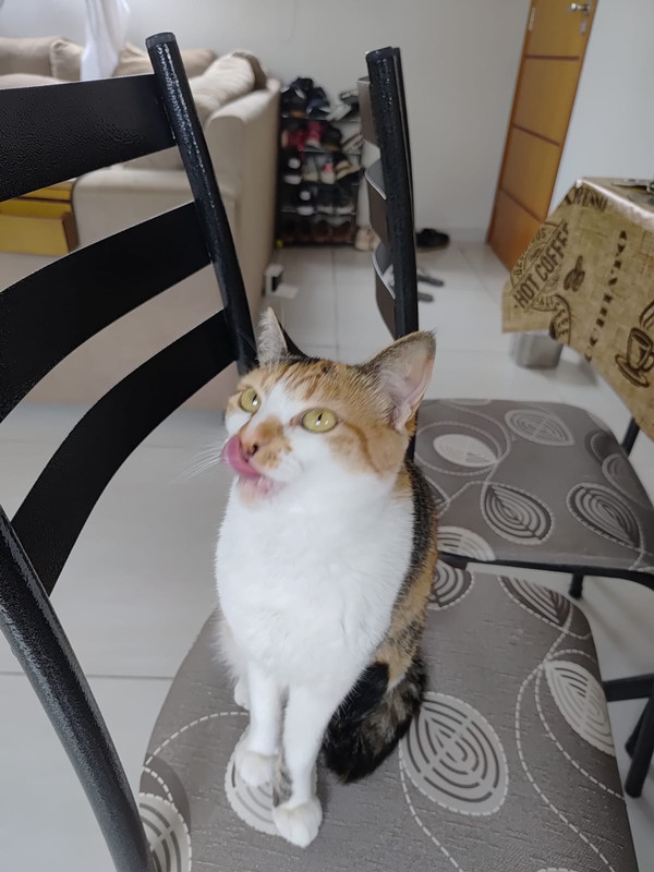 Whats-App-Image-2026-01-28-at-13-22-54.j