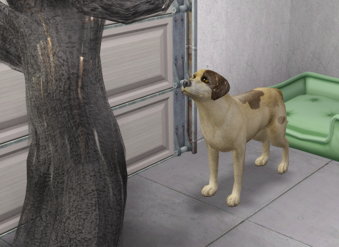 Sims2-EP9-RPC-2023-10-09-21-41-17-22