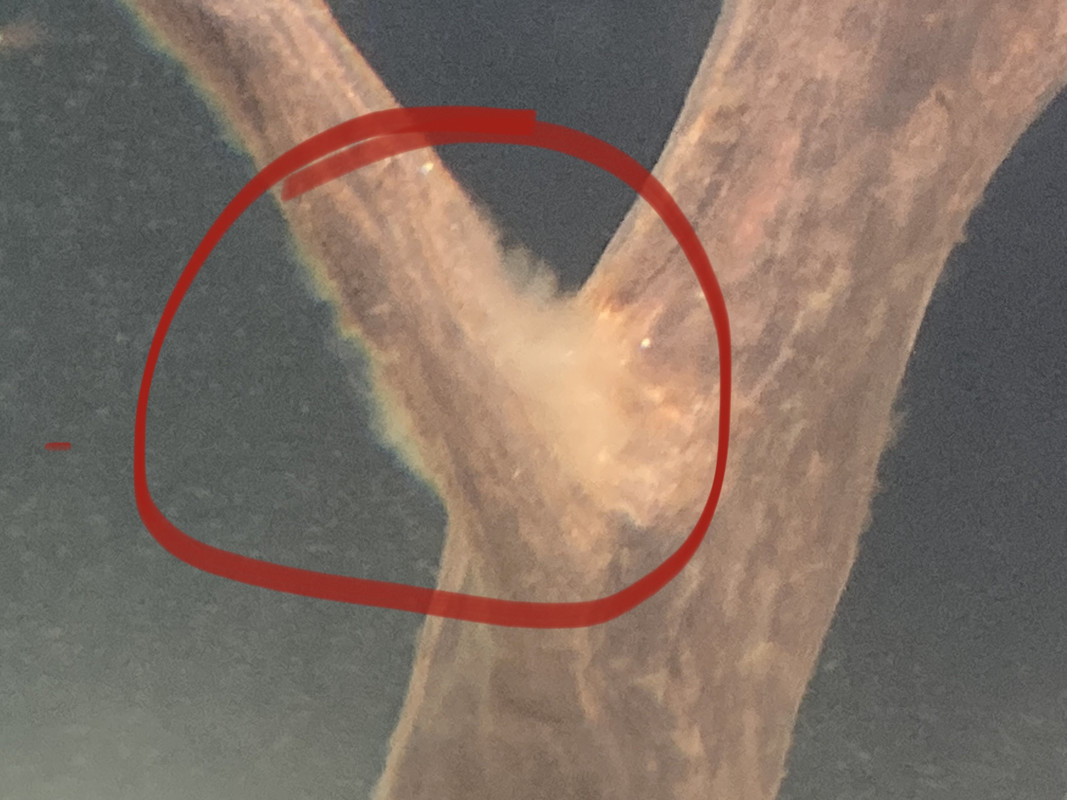 FC51D359-CF78-488E-96DF-CE6B365C9DAF