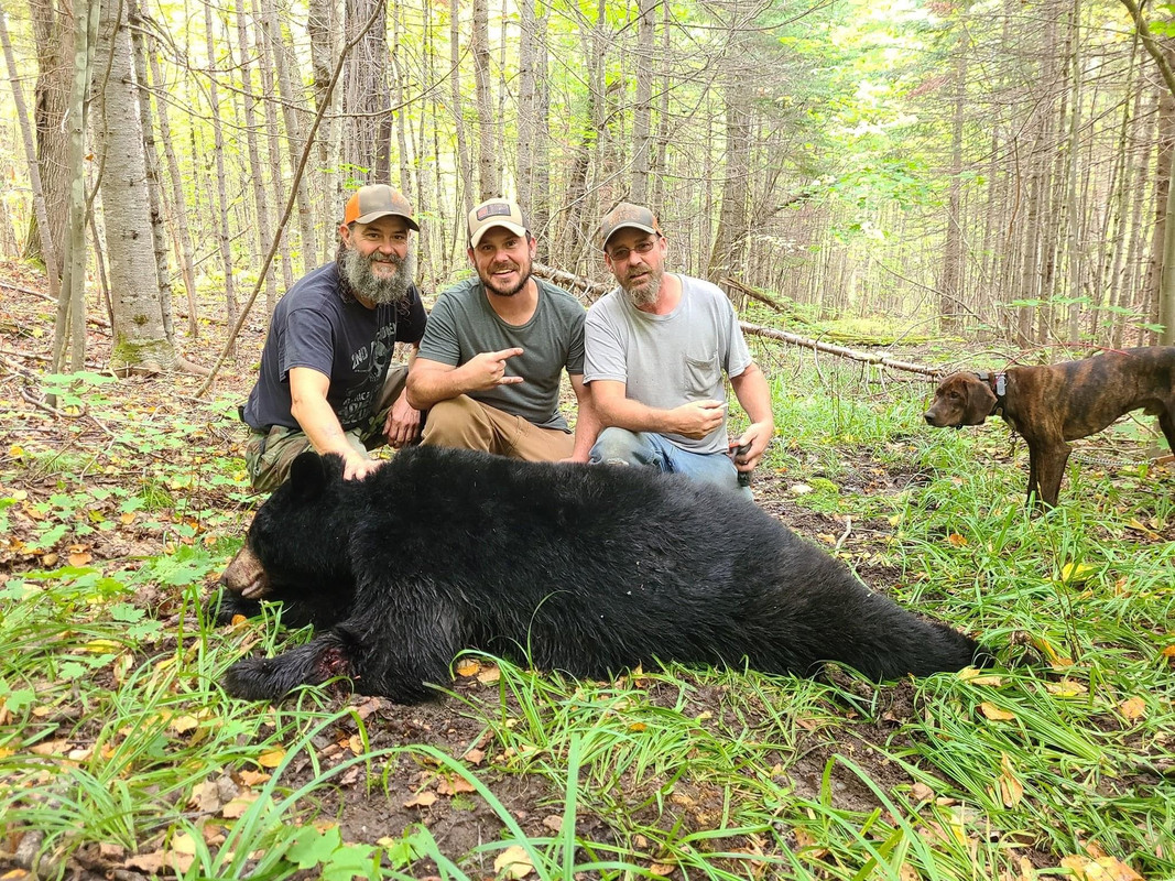 67B3FD28-8007-4EB8-A805-6D46755357AC