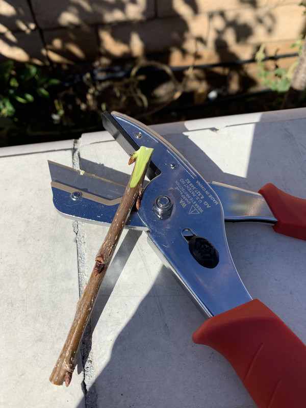 07826829-D055-4B0E-BE76-E17B4F90921A