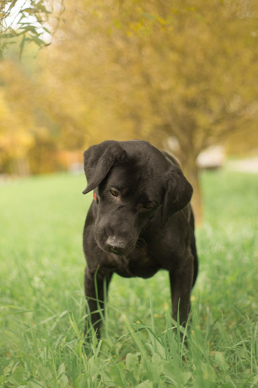 IMG-5c2cc0b802051a70e82fa0d5d88635a9-V