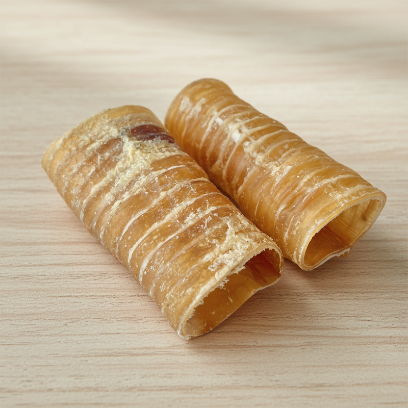 Trachea 6" - imagen 2