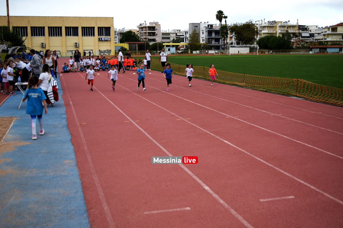 ΑΚΡΙΤΑΣ ΣΤΙΒΟΣDSC_0316