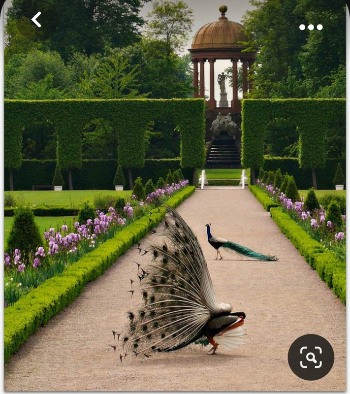 Screenshot_20231020_213220_Pinterest