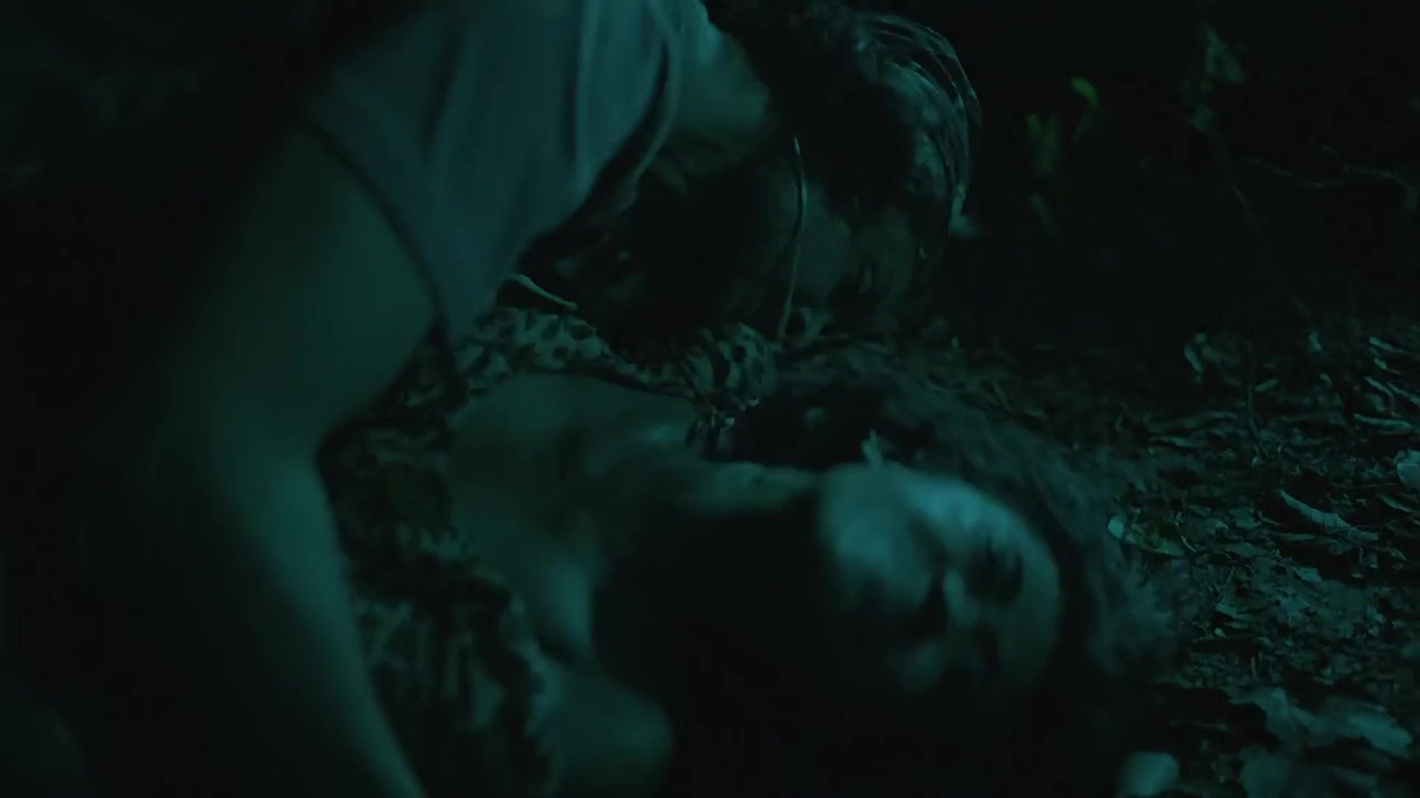 vlcsnap 2025 11 03 23h46m15s494