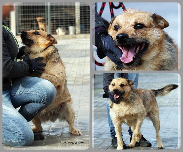 BeFunky-collage (25)