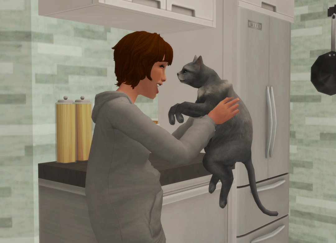 Sims2-EP9-RPC-2024-10-27-10-49-37-91