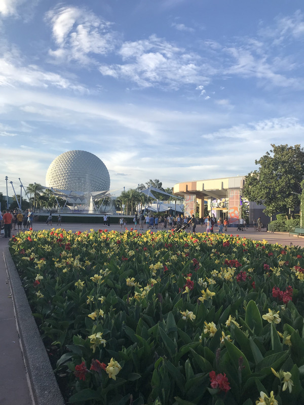 24A7524B-A58C-4EE2-85C5-92F42D2F32D1