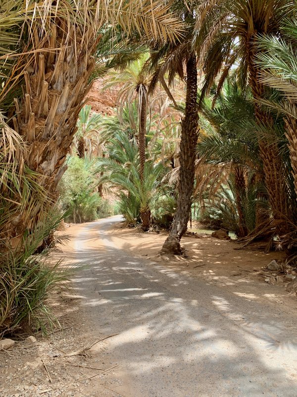 Sur de Marruecos: oasis, touaregs y herencia española - Blogs de Marruecos - Tafraoute y alrededores. Ruta hasta Sidi Ifni (7)