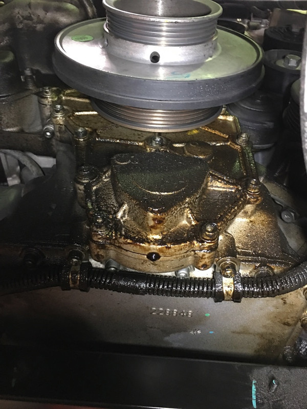 B13575C8-449F-4C93-AFD7-0E9FFEDC4F3A