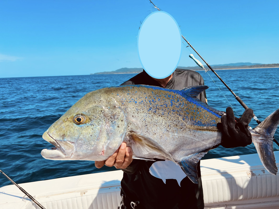 IMG_026347 (Conflicto de mayúsculas y minúsculas)