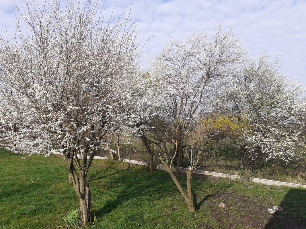 [Obrazek: 20240323-084641.jpg]