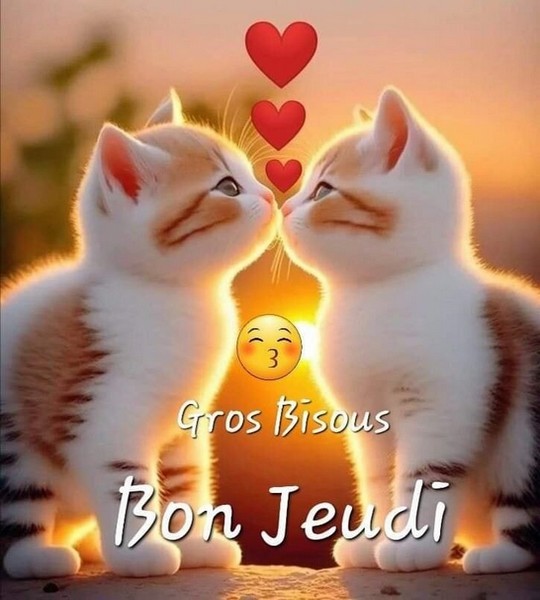 ec977875bb01c01ff1cbb5ddf2e112b2