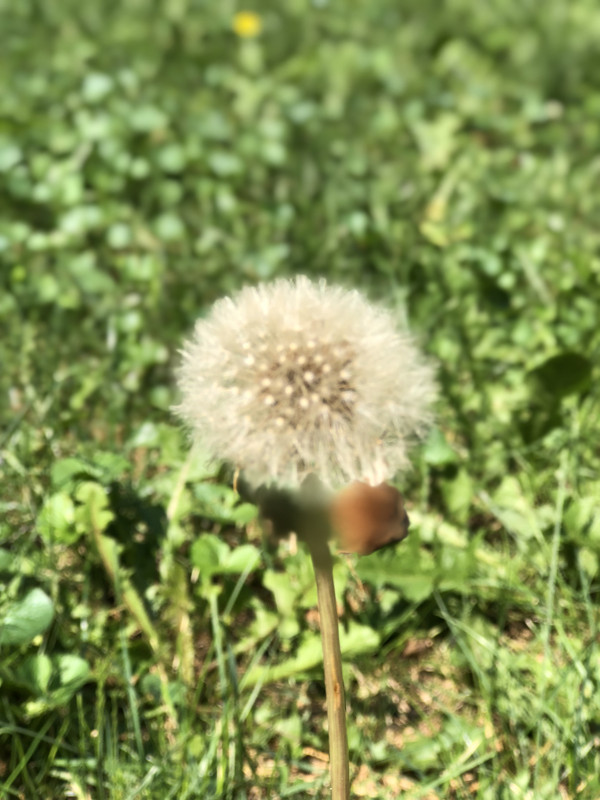 364-FE100-27-CF-42-C3-B95-F-30-C1452-B45