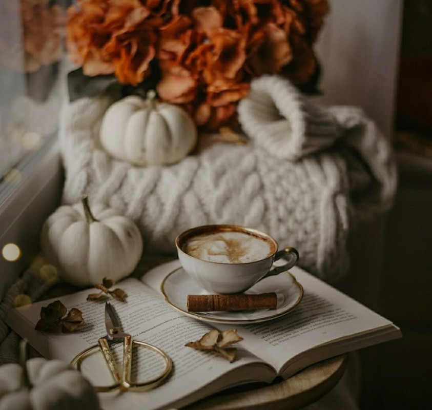 Screenshot_20231210_174226_Instagram