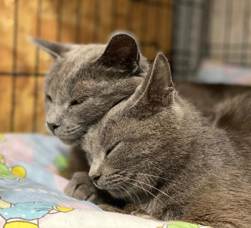 28344E5F-B8C8-4BCF-82C8-7D8DA864BD12