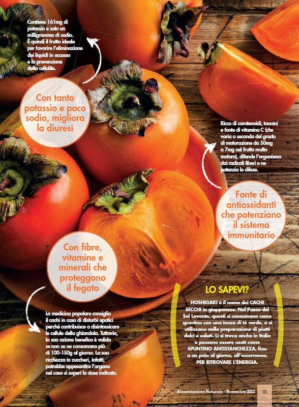 Alim Nat Nov 2022 (4)