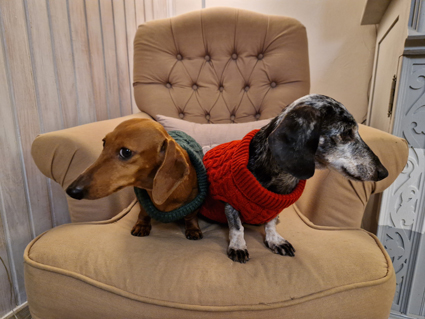 [Image: 20230101-180951.jpg]