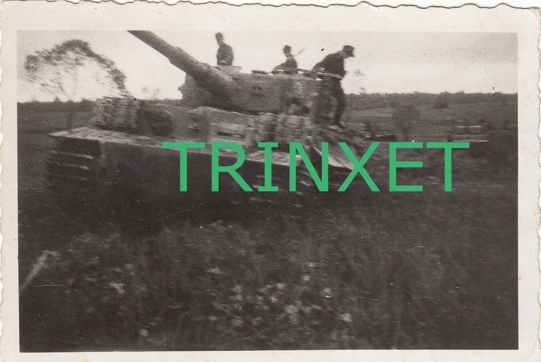 $T2eC16Z,!ysE9sy0i3YSBRTKg2nIo!~~60_10