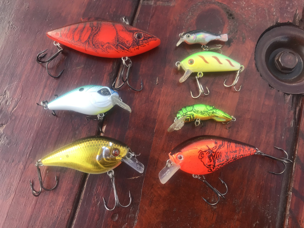 0E185613-47B1-4BEA-AFC5-226DDCE8581B.jpg