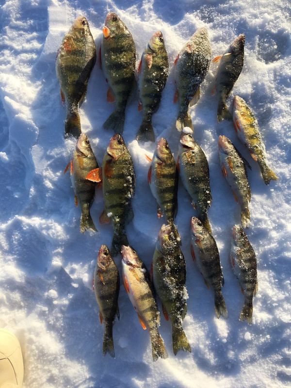 IMG_4551
