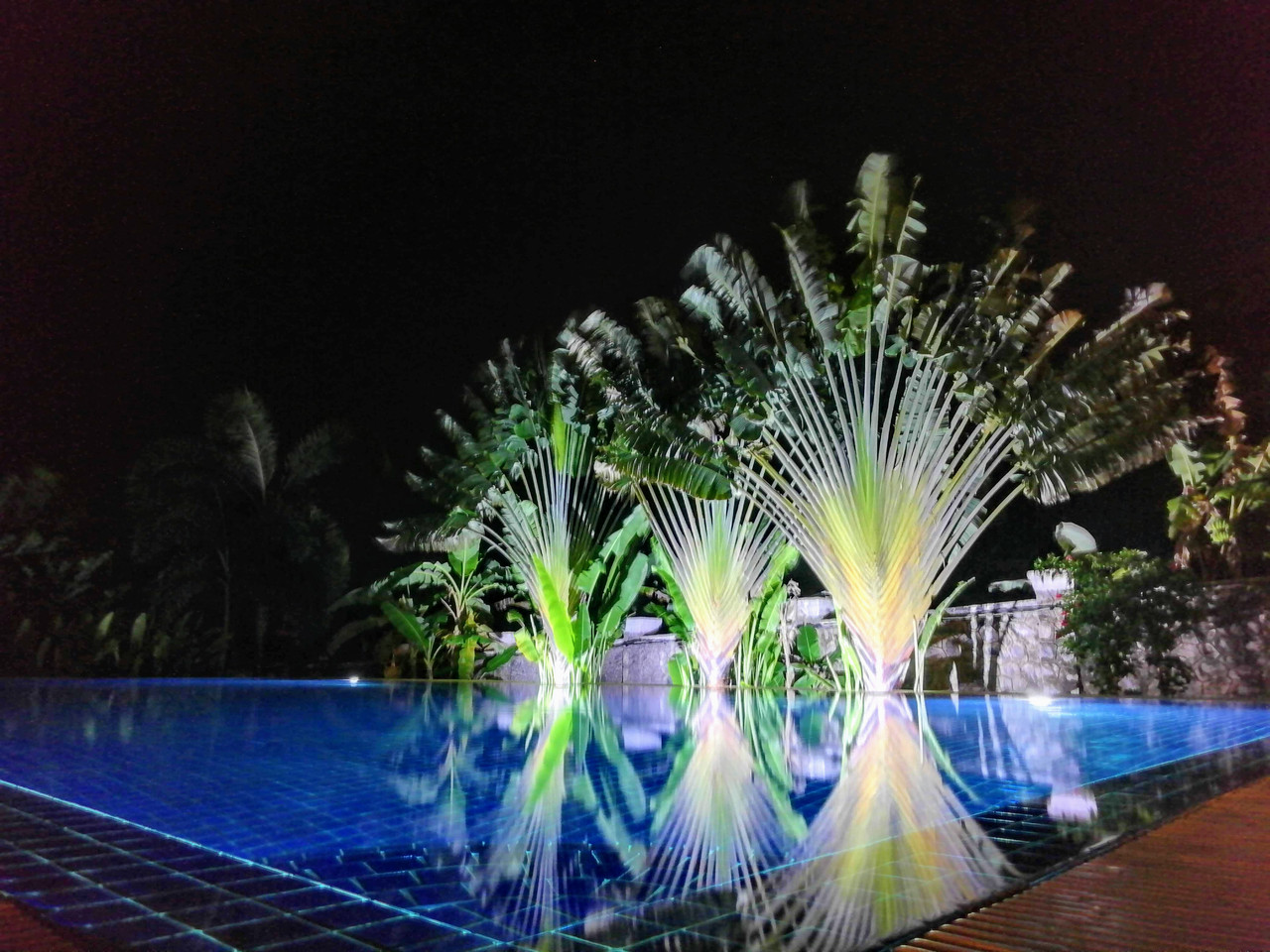Pool by night