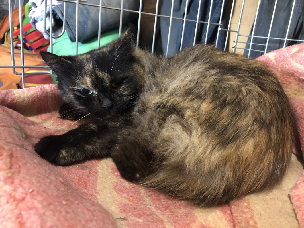 381A5EA9-3629-44F9-902C-14680F091303