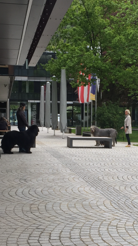 207AF58E-9E16-42BD-A90B-9B06FA64F004