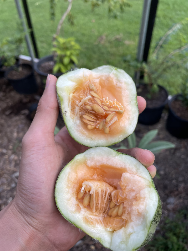 472000E1-CEB1-40CB-B160-28008DDD5998