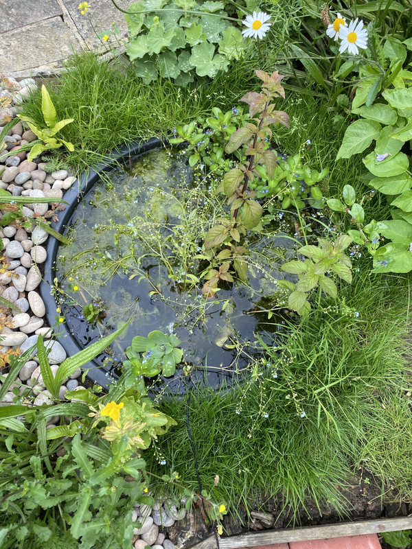 C37A4BC4-E90C-4E0D-B02E-A365030C78CC