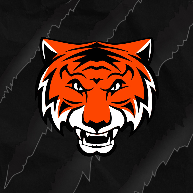 Bonch Tigers
