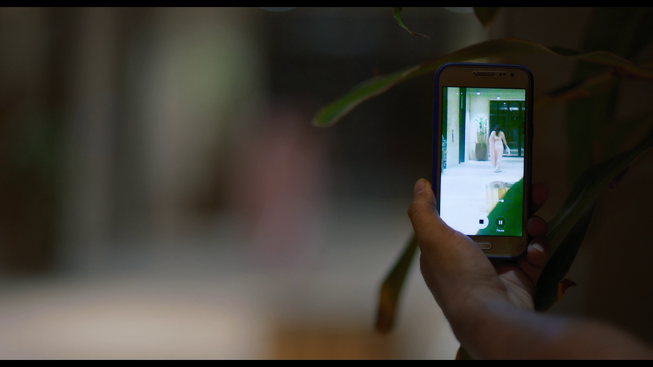 vlcsnap-2025-05-30-20h12m21s677