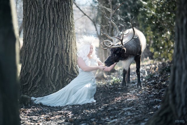 https://i.postimg.cc/zvyYm56X/Winter-s-Reindeer-Alyssia-Booth-Photographer-www-abcandidstudio.jpg