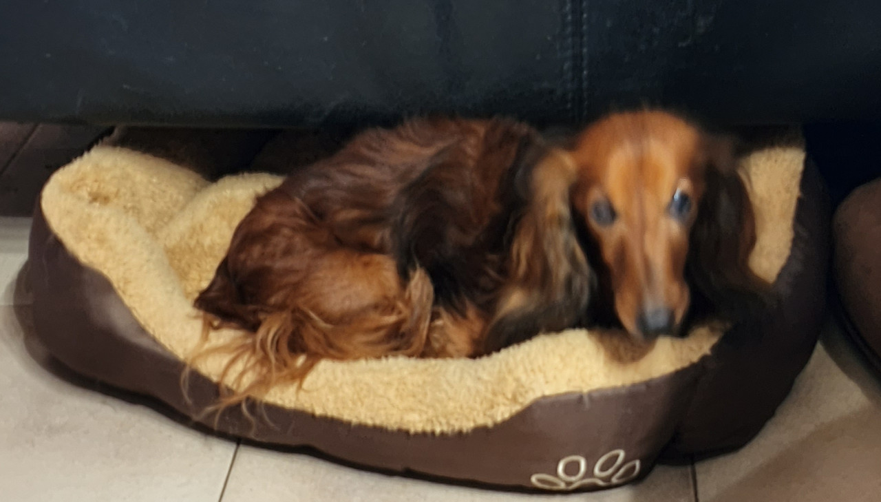 [Image: 20201205-095504.jpg]