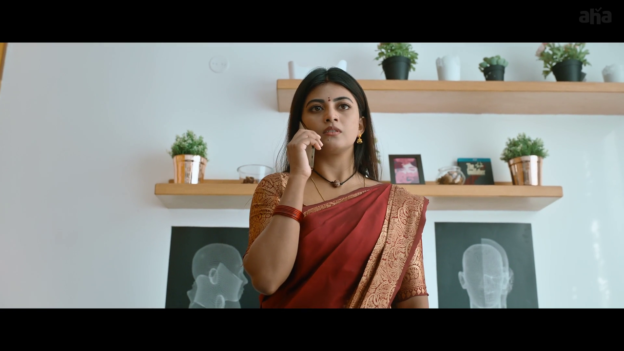 vlcsnap-2025-04-21-20h12m02s040