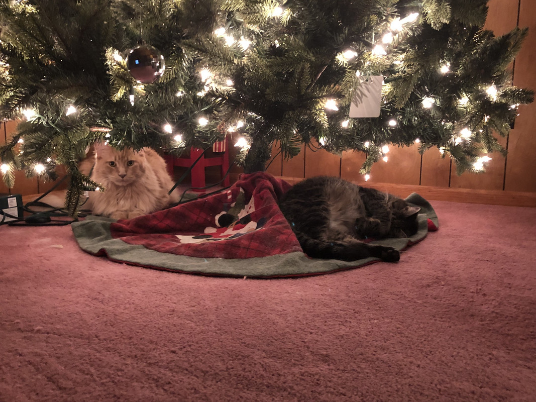 671E3F41-A8B6-4162-A851-97FD1A440F3F