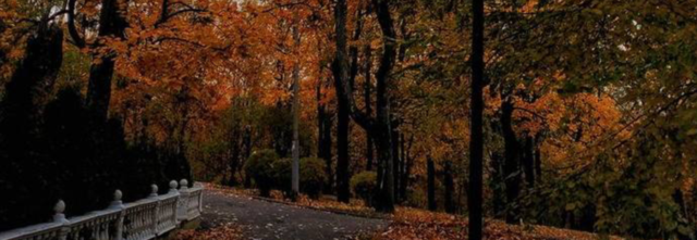 Untitled349_20240222222738