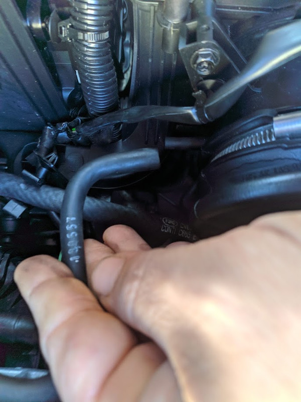 00000IMG_00000_BURST20211021095531061_COVER