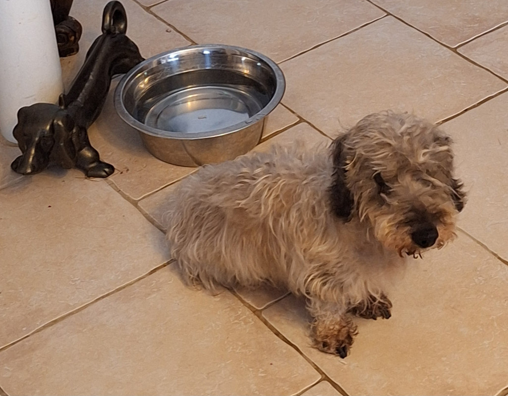 [Image: 20240711-201549.jpg]