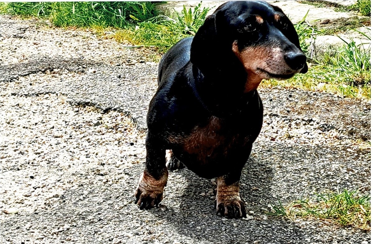 [Image: Num-risation-20240506-3.jpg]