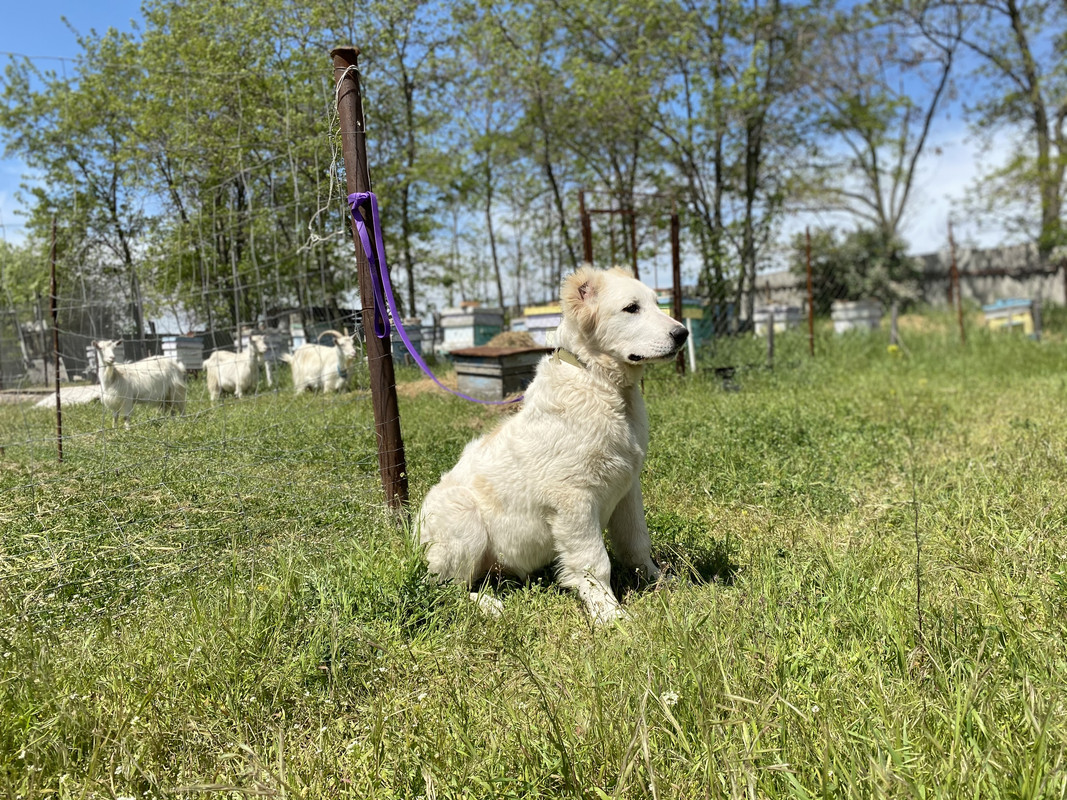 259055AC-06A4-4423-AEC7-3B15F4D5ACD2