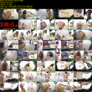 JAV Scat - Office Lady Diarrhea Toilet Scenes 4 - SL-225 [Year 2018 / 1080p]